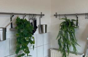 schöne 2 Zimmerwohnung Altbau, hochschulnah - Foto 13