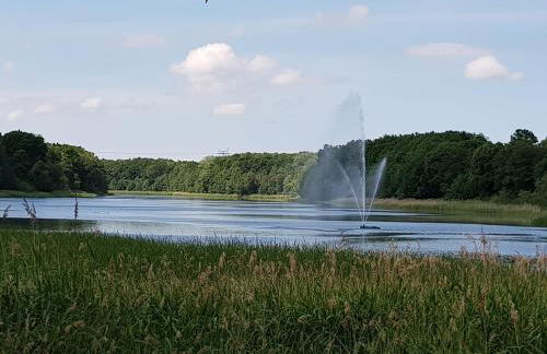 Ferienwohnung in Ostseenähe - Foto 18