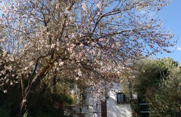 Casa La Liebrecilla - Foto 20