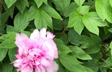 Condrieu et parking voiture vélo 2 ème étage - Foto 56