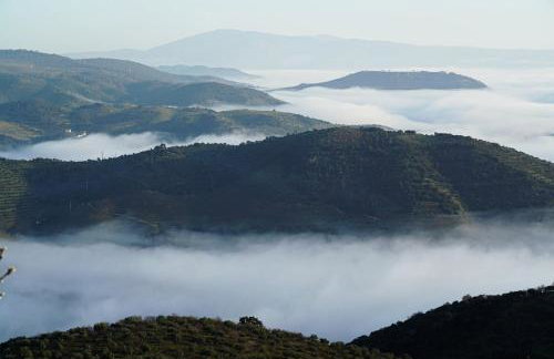 Casa Dr Ramiro Salgado - Douro Superior, Torre de Moncorvo - Foto 48