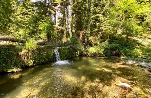 ECO VILLA OLYMPUS with sauna and swimming pool - Foto 32