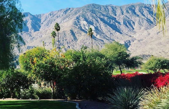 Villa Vista - Spanish Luxury Pool Wifi - Photo 36