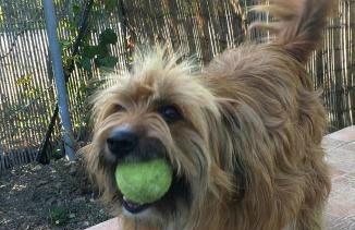 Casa Fabbrichina - Foto 44