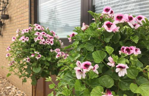 Ferienhaus am See - Foto 24