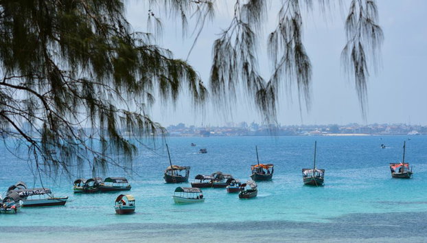 Tour de un día por Stone Town, la ruta de las especias y la Isla Prisión - Foto 2