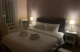 Morfeas Apartment Ioannina - Foto 15