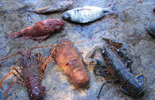 Diving Apartments - Photo 8