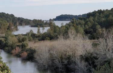 Cal Valero - Photo 4