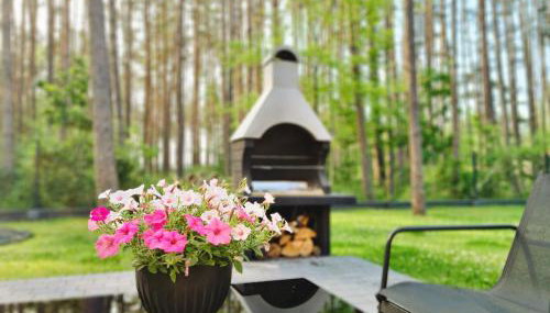 LEŚNA STODOŁA - Foto 5, Garden, Garden view