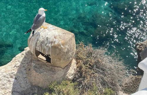 El mundo soleado - Foto 36