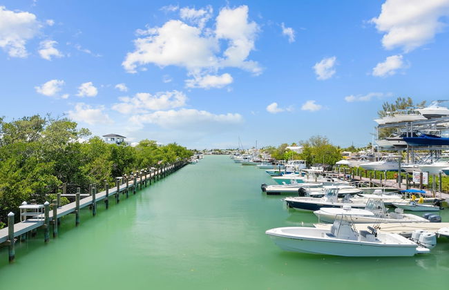 Paradise Point Pool Dock Lounges BBQ - Foto 69