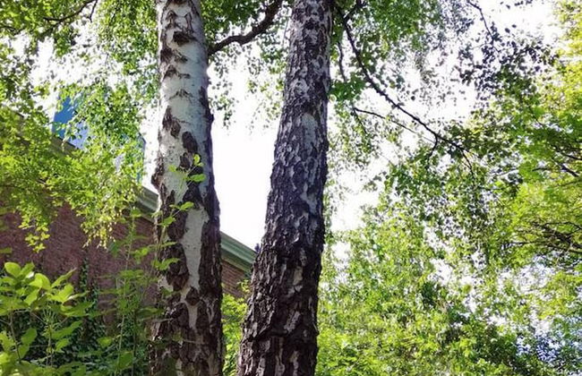 Amazing Loft in Namur - Foto 35