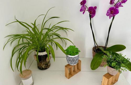 Agréable maison rénovée, en ville et au calme ! - Photo 30