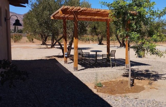 Alma Liebre Viñedos del Valle - Foto 26