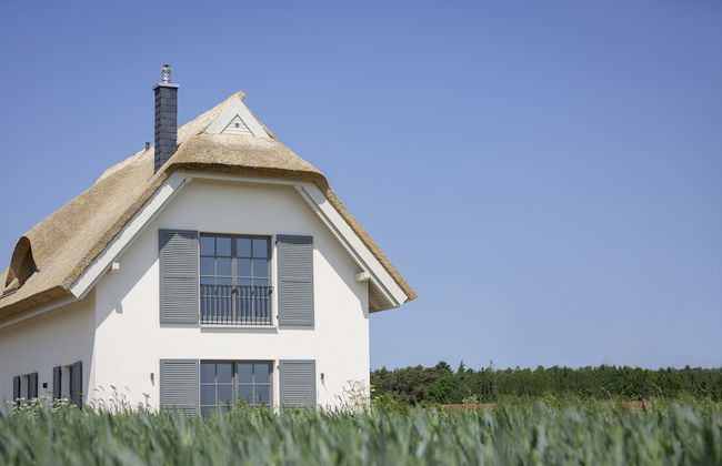 Reetland am Meer - Photo 49