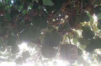 Agriturismo Mare e Monti - Foto 100