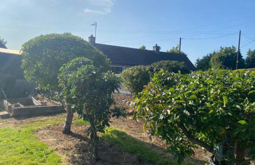 Spelga View - Foto 71