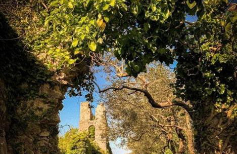 Alba & Tramonto - Foto 5