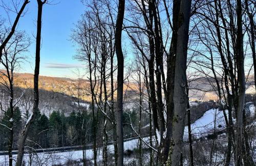 Noah - Seeleben auf Zeit am Rursee - Foto 29