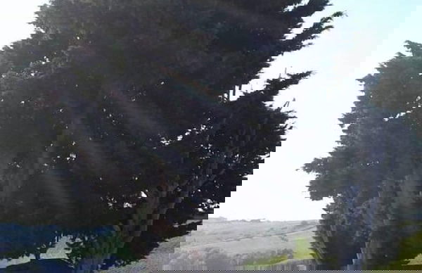 Casa Annick Holiday Home Chianti Area Florence - Photo 73