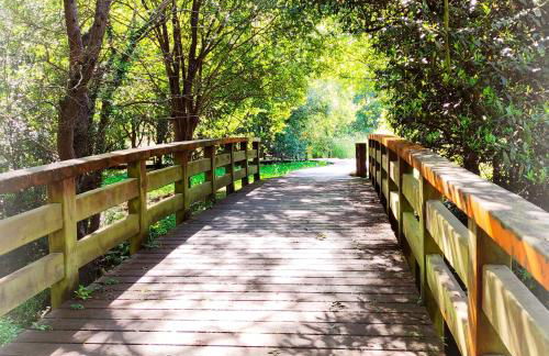 PIEDRAS DE ASTURIAS - Foto 31