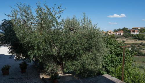 La Casa di Sara - Foto 4, Garden view