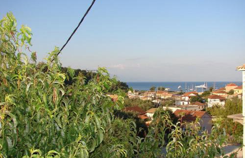 Harry's Studios - Photo 59