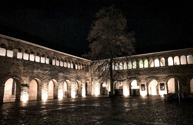 the backyard - Foto 77