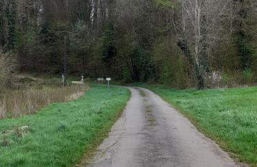 A l'OREE DU BOIS - Foto 13