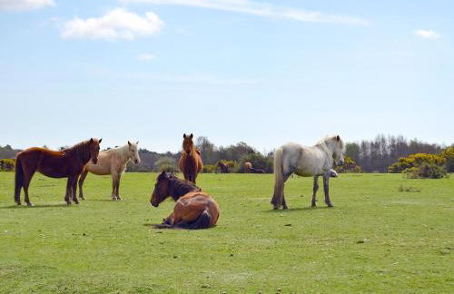 Wisteria Cottage - Foto 19