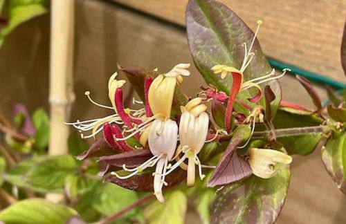 Villa superbe vue mer calme sans vis-à-vis - Foto 4
