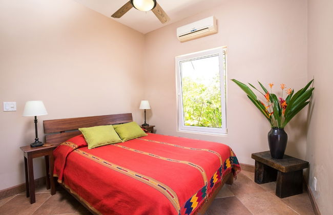 Yellow Bird - Foto 6