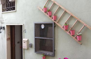 La Chiave del Gufo - Bojano - Foto 5