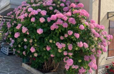 Casa Ortensia - Foto 51