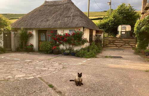 The Nest - Thatched seaside country cottage for two - Foto 19