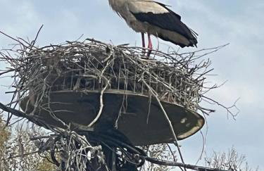 Makrygialos-Atlantis - Photo 62