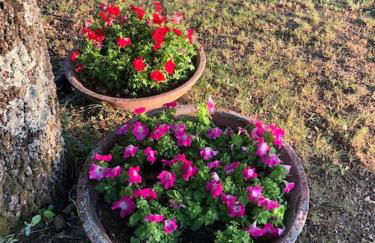 luxury villa in centre of tuscany - Foto 13