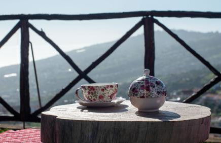 Casa dos Avos - Photo 33