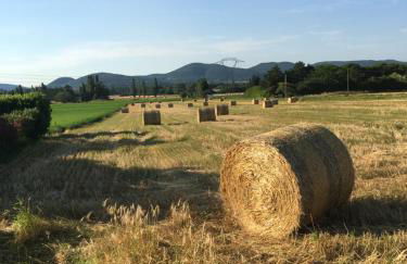 Chez Janie Hirst - Foto 44