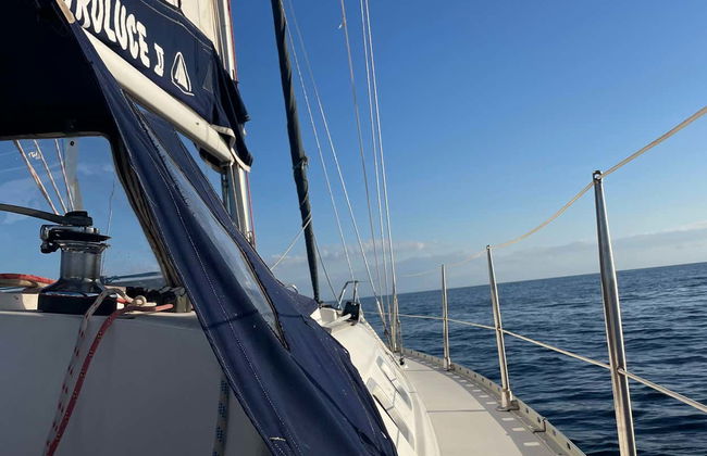 Paseo en velero por el Cabo Caccia - Foto 10