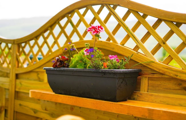 Clonlum Holiday Cottages - Foto 27