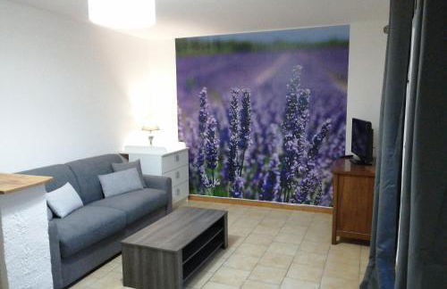 LES 3 HIRONDELLES - Foto 15