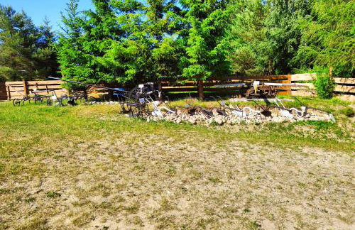 Agroturystyka Zagroda Alpaka - Foto 63