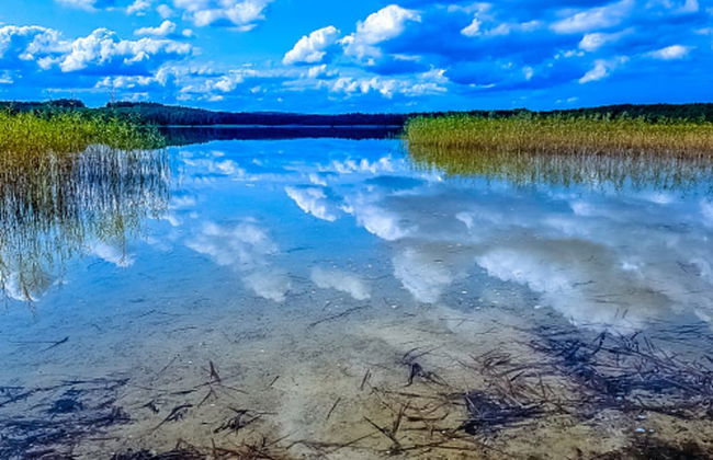 Large Holiday Villa With Sauna, Jacuzzi and Pool - Photo 57