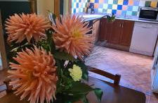 Aptos La Corona-Cabrales-Picos de Europa - Foto 65