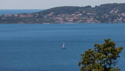 Apartman MIRIS BORA - Photo 4