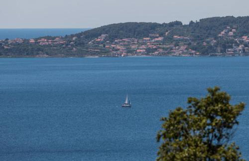 Apartman MIRIS BORA - Photo 4