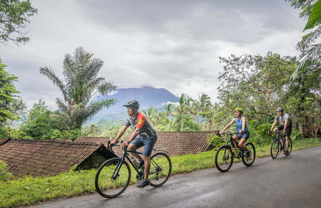 Kaura Bali - Foto 16