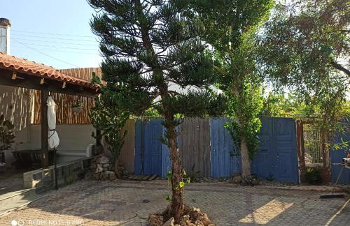 Cactus Home - Foto 27